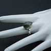 MOSS AGATE RING