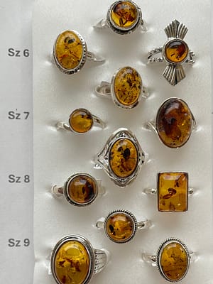WR2854 AMBER