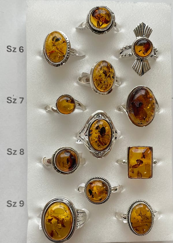 WR2854 AMBER